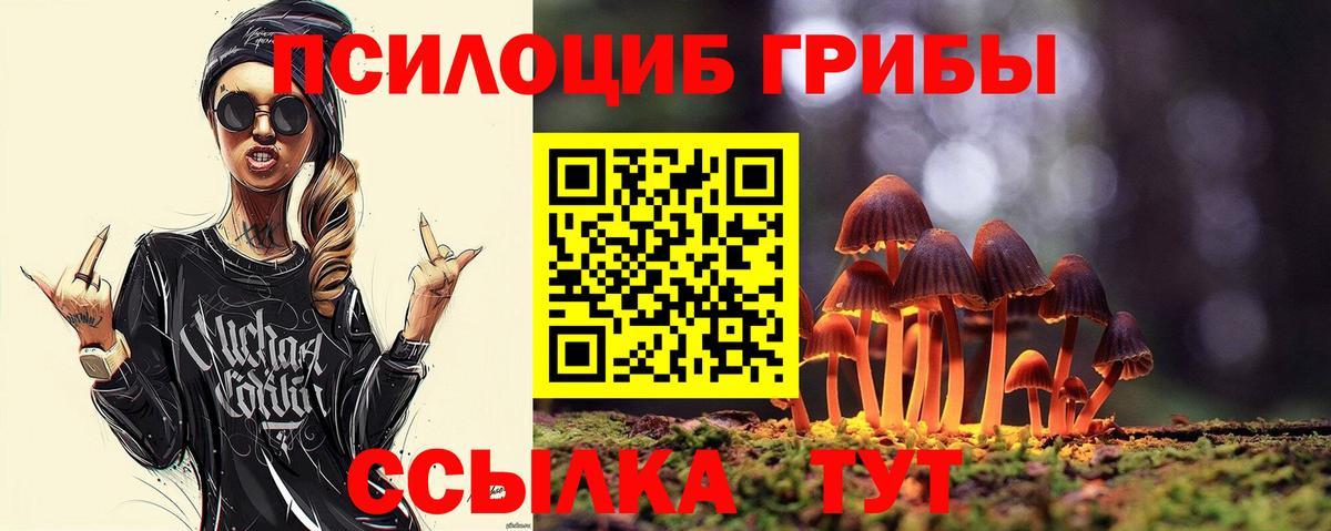 Котлас  Галлюциногенные грибы прущие грибы  сколько стоит  Вход с VPN 